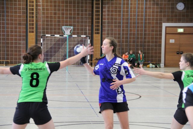 2017_01_08 Landesliga Frauen u. J19